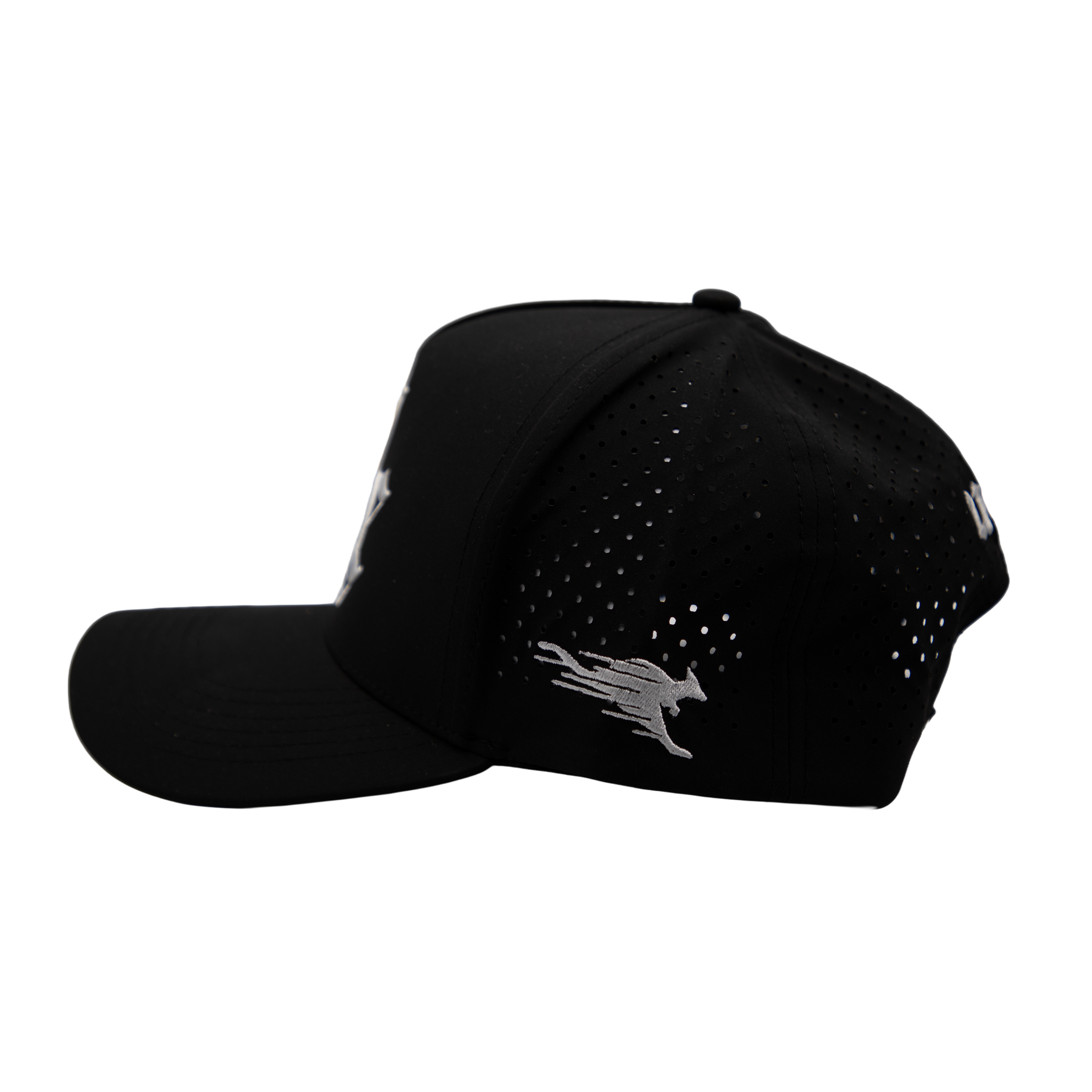 ROOS MOBB 25 Snapback - Black